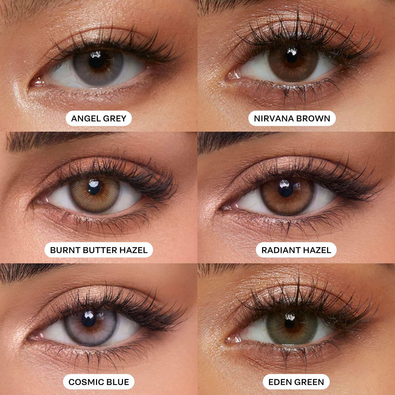 Eylumi The Starter Set