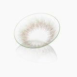 Acacia Olive